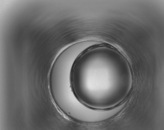 X0000059840862200510281822