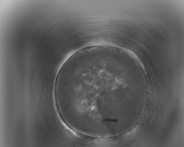 X0000059840863200510281822