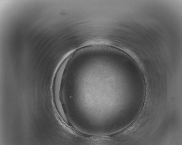 X0000059840864200510281822