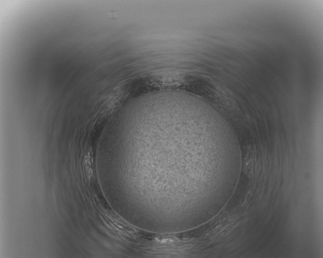 X0000059840866200510281822