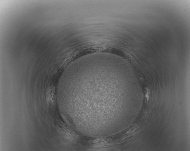 X0000059840867200510281822