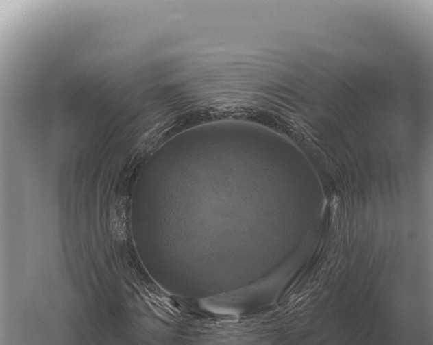 X0000059840868200510281822