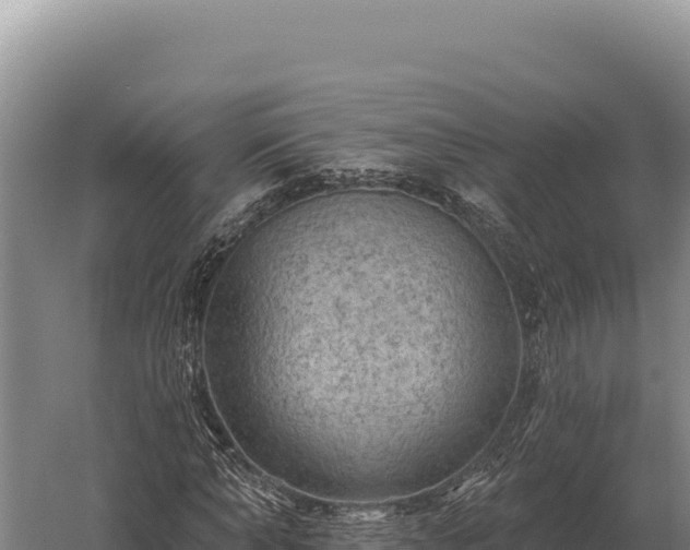 X0000059840870200510281822