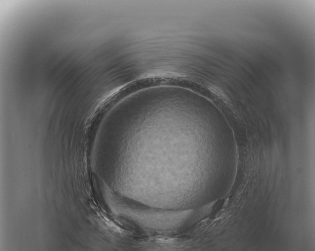 X0000059840872200510281822