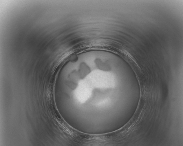 X0000059840874200510281821