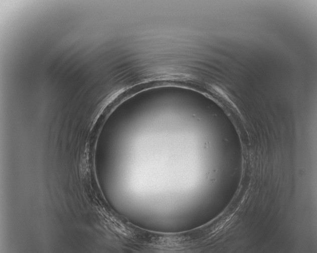 X0000059840875200510281821