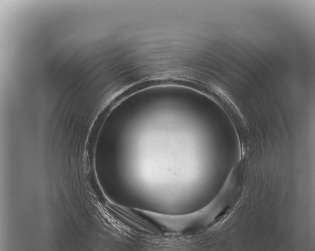 X0000059840876200510281821