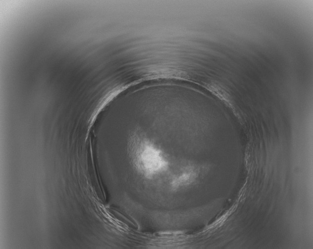 X0000059840877200510281821