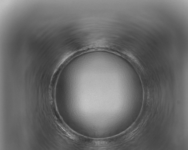 X0000059840878200510281821