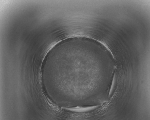 X0000059840879200510281821