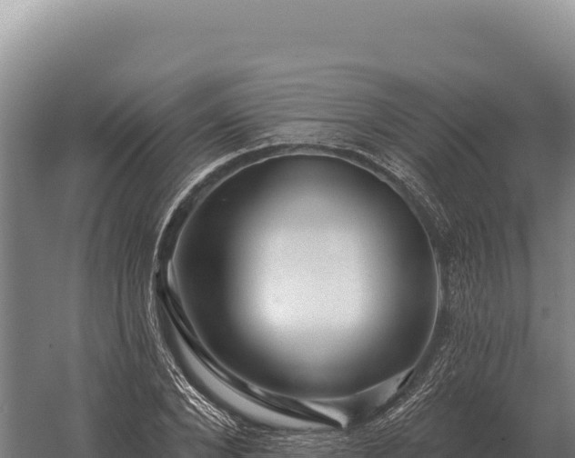 X0000059840880200510281821