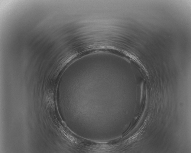 X0000059840881200510281821