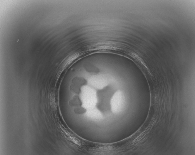 X0000059840882200510281821