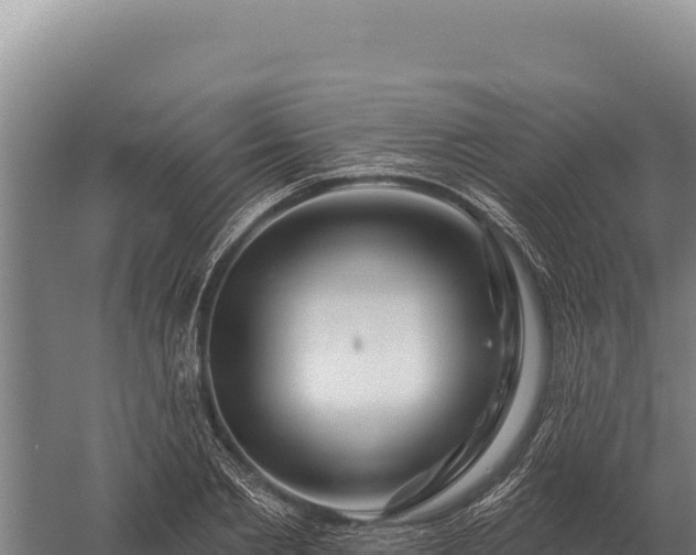 X0000059840885200510281821