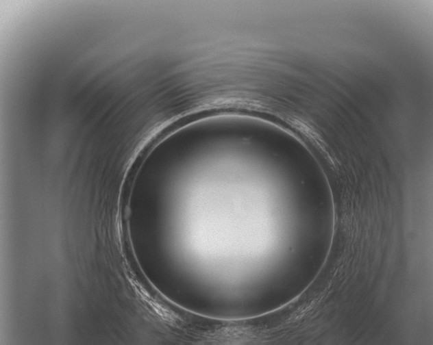 X0000059840888200510281821