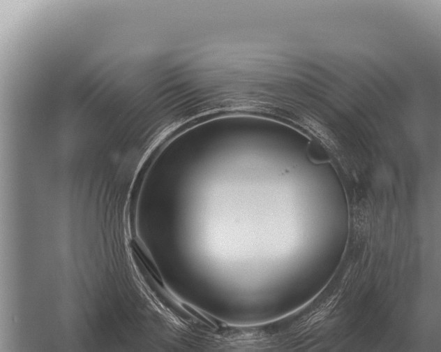 X0000059840891200510281821