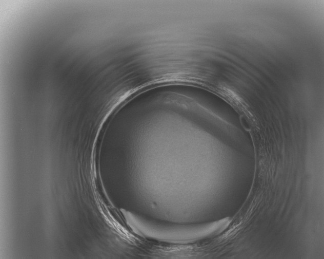 X0000059840892200510281821