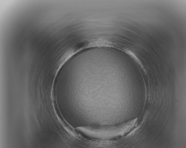 X0000059840893200510281821