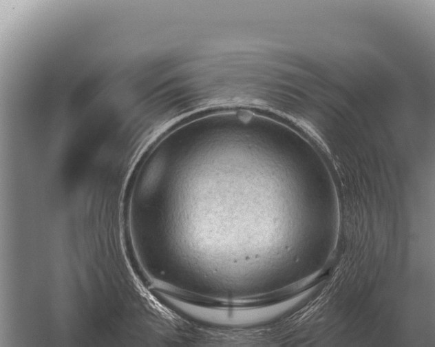 X0000059840895200510281821