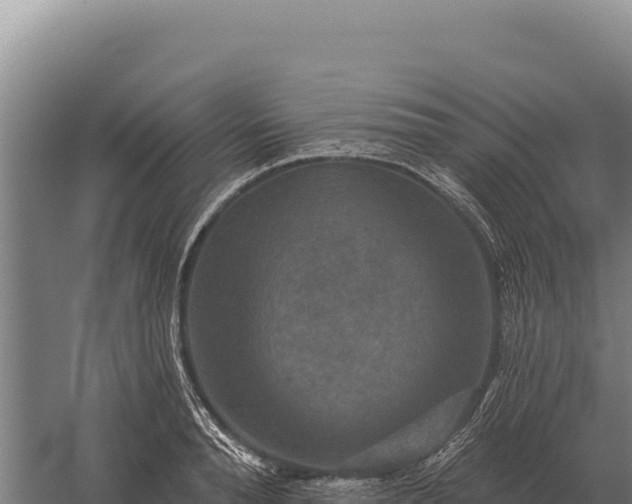 X0000059840896200510281821