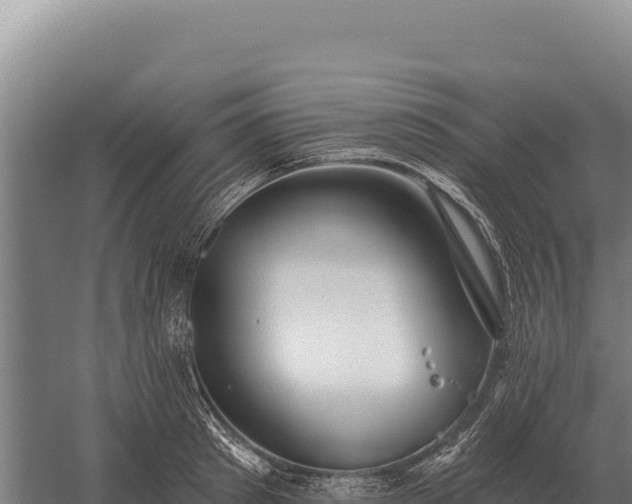 X0000059840897200510281821