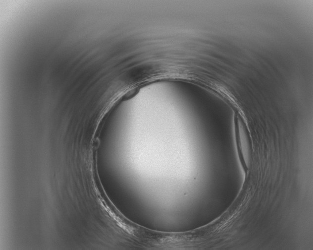 X0000059840898200510281821