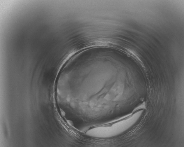 X0000059840899200510281821