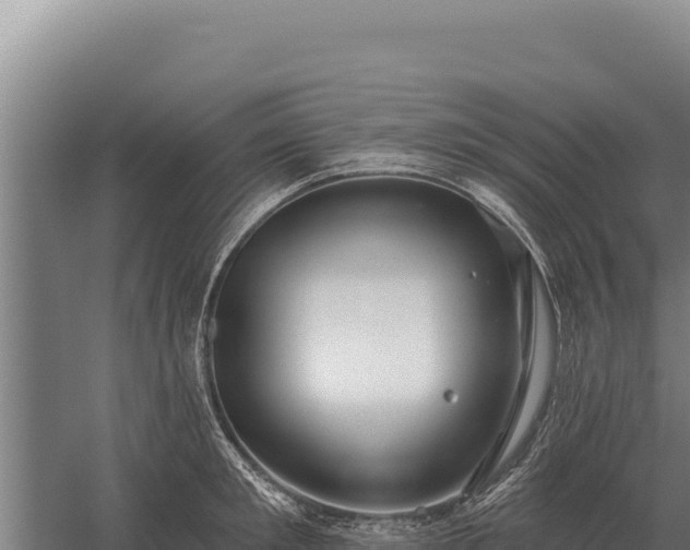 X0000059840901200510281821