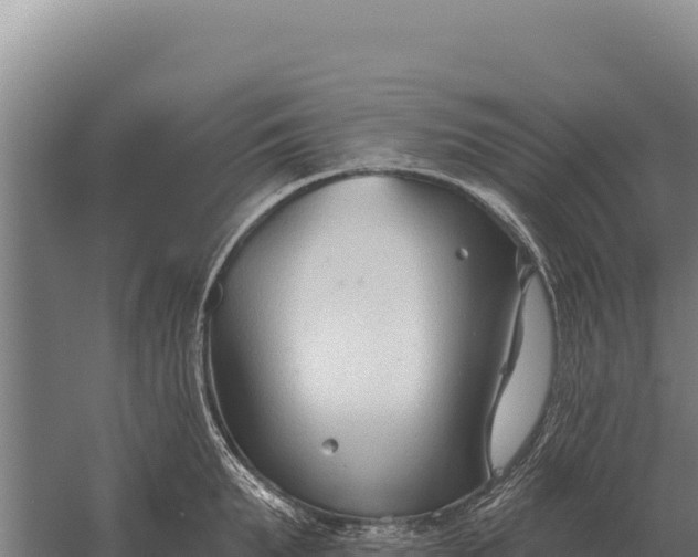 X0000059840903200510281821