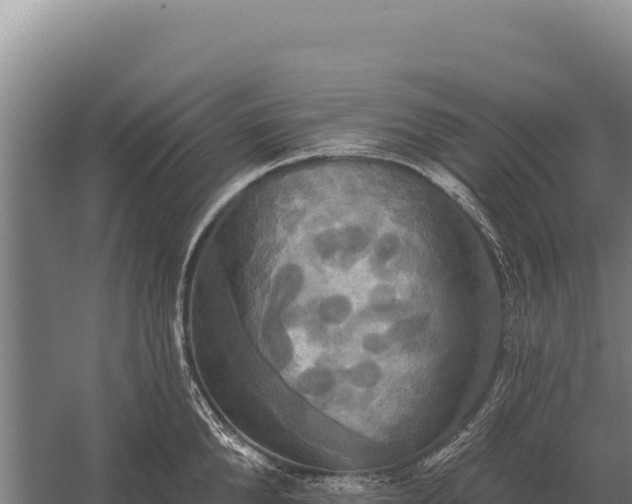 X0000059840904200510281821