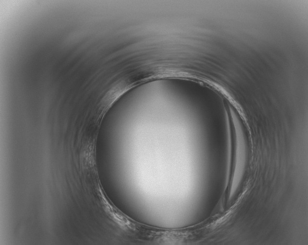 X0000059840905200510281821