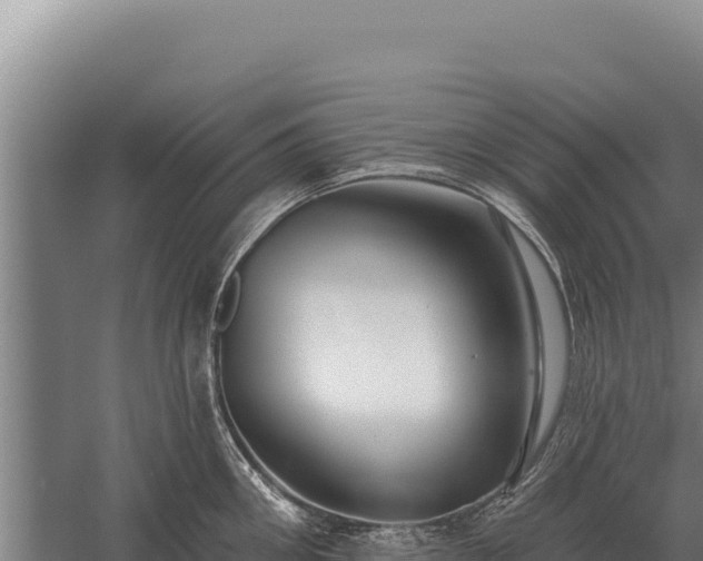 X0000059840906200510281821