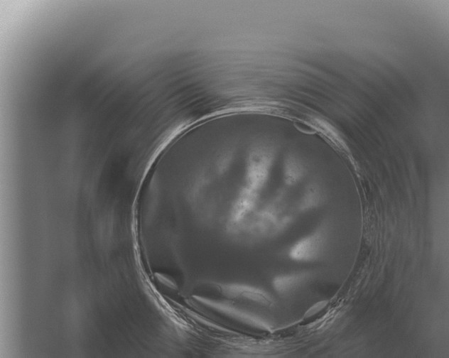 X0000059840907200510281821