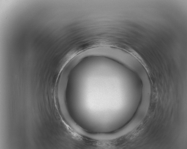 X0000059840909200510281821