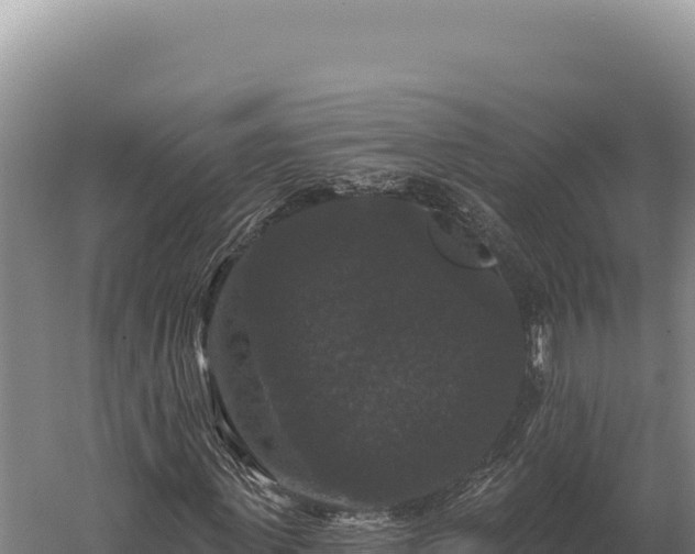 X0000059840915200510281820