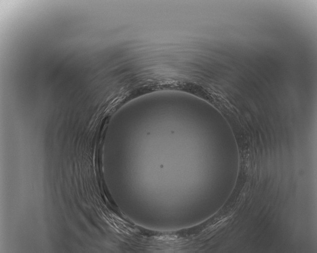 X0000059840916200510281820