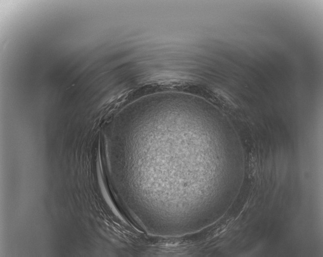 X0000059840917200510281820