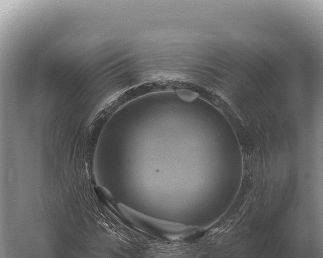 X0000059840919200510281820