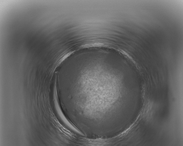 X0000059840921200510281820