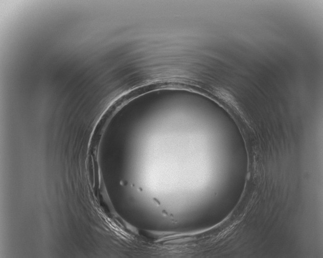 X0000059840924200510281820