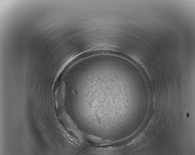 X0000059840925200510281820