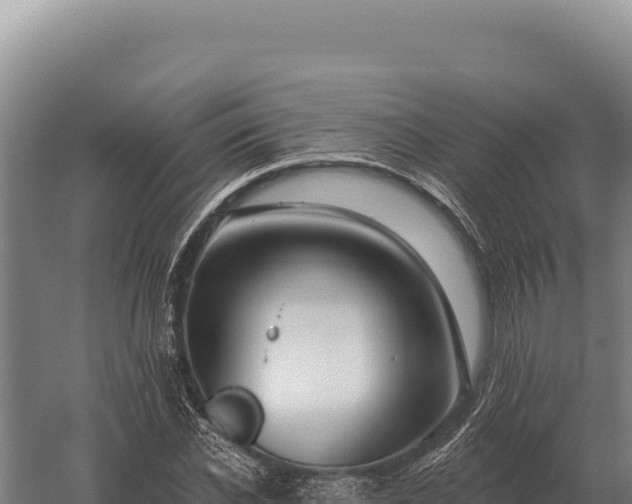 X0000059840926200510281820