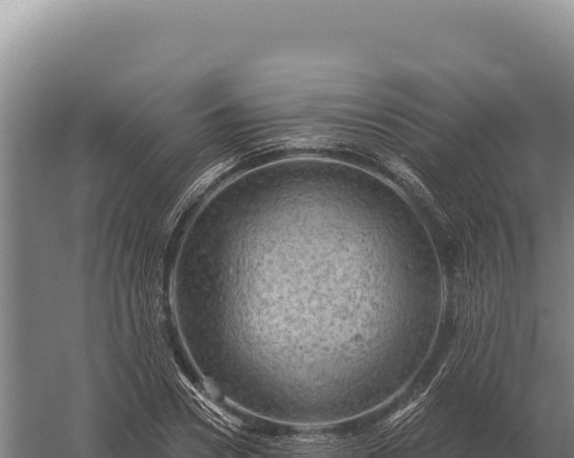 X0000059840930200510281820