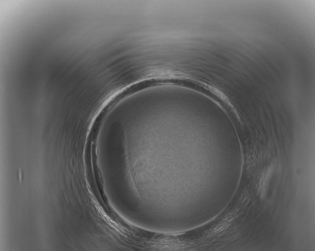 X0000059840935200510281820