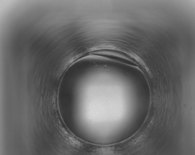 X0000059840937200510281820