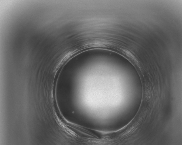 X0000059840938200510281820