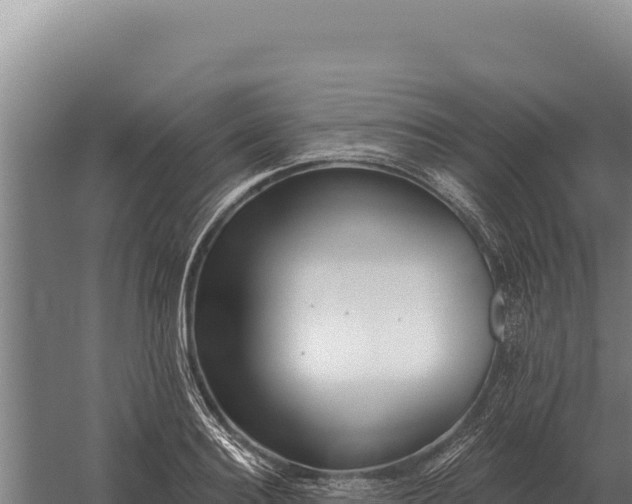 X0000059840940200510281820