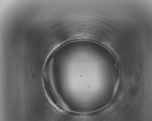 X0000059840941200510281821