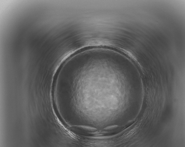 X0000059840943200510281821