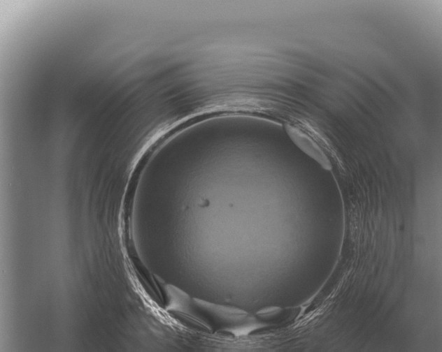 X0000059840944200510281821